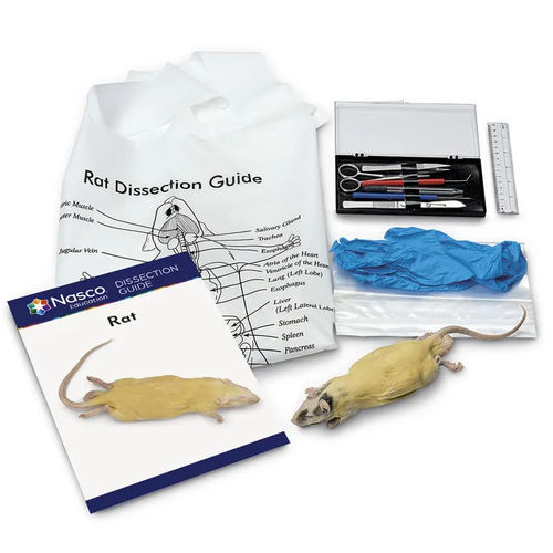 Simulatore di dissezione - LS03848 - Nasco - di anatomia / per assistenza generale / in kit