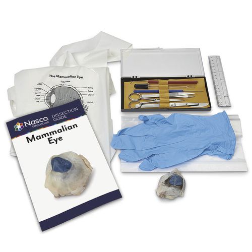 Simulatore di dissezione - LS03859 - Nasco - di anatomia / in kit / senza lattice