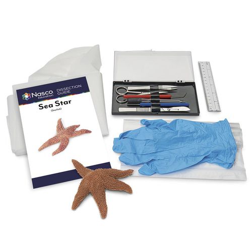 Simulatore di dissezione - LS03851 - Nasco - di anatomia / in kit / senza lattice
