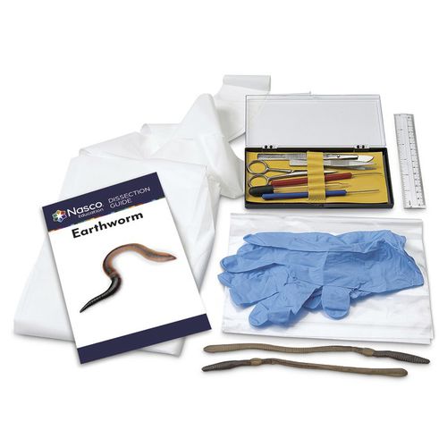 Simulatore di dissezione - LS03853 - Nasco - di anatomia / in kit / senza lattice