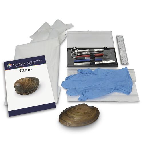 Simulatore di dissezione - LS03861 - Nasco - di anatomia / in kit / senza lattice