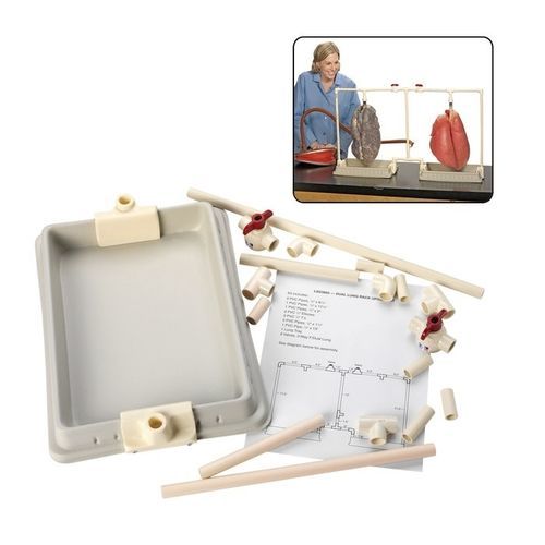 Simulatore di dimostrazione - LS03805 - Nasco - di anatomia / in kit / doppio