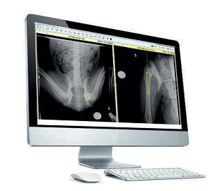 Software di pianificazione - OrthoView VET - Scil Animal Care - veterinario