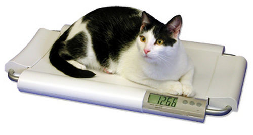 Bilancia veterinaria elettronica - SRV930 - SR Instruments - per animali di piccola taglia / da banco