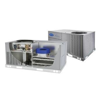 Pompa di calore aria-aria - WeatherMaker®  48FC - Carrier| Commercial Systems North America