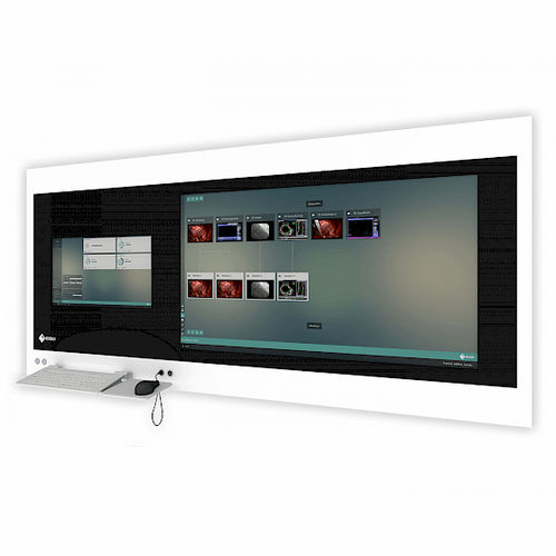 Workstation medica - CuratOR® SP2-24-49 - EIZO GmbH - da parete / a incasso / a tenuta stagna