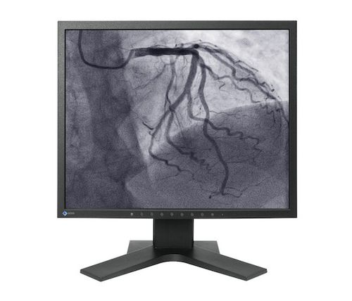 Monitor medico - CuratOR® LS1910 - EIZO GmbH - per sala operatoria / per diagnostica per immagini / diagnostico