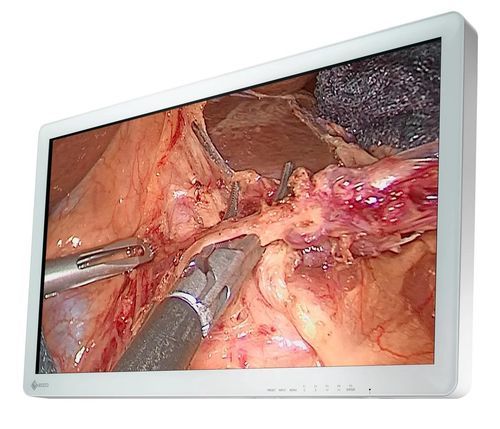 Monitor per sala operatoria - CuratOR EX3220 - EIZO GmbH - chirurgico / per sala operatoria / per endoscopia