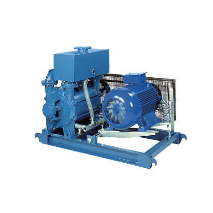 Pompa a vuoto per evaporatori rotanti - LRVS - Robuschi - oscillante / senza olio