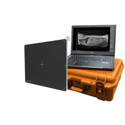 Rilevatore a pannello piatto per radiografia veterinaria - DR Wizard 2.0 - Diagnostic Imaging Systems - portatile / con connessione wireless / 14 x 17