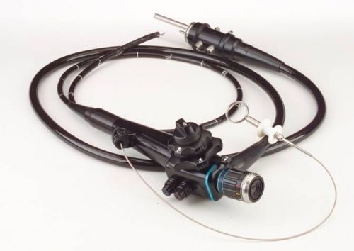 Gastroscopio veterinario video - D-XS-20 - MDS - con canale operativo