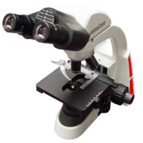 Microscopio ottico - Focus-V 1475 - Leading Edge - biologico / per laboratorio veterinario / dritto