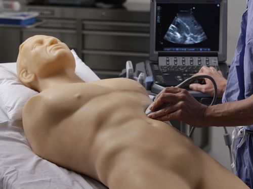Simulatore didattico - Blue Phantom™ - Elevate Healthcare - per puntura / di parto / per assistenza generale