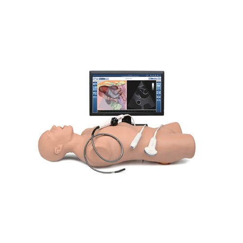 Simulatore di paziente per ecocardiografia - Vimedix - Elevate Healthcare - per cure cardiopolmonari / di anatomia / per diagnosi COVID-19