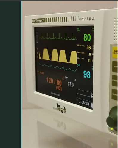 Monitor multiparametrico veterinario - VetTrends® V plus - SystemVET - compatto / ECG / TEMP