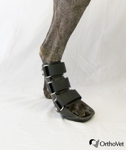 Steccobenda veterinaria per zampe - Bootie - OrthoVet - canina