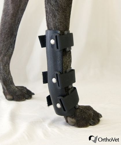 Steccobenda veterinaria per tunnel carpale - OrthoVet - canina