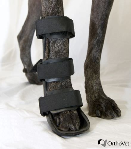 Steccobenda veterinaria per zampe - Front - OrthoVet - canina