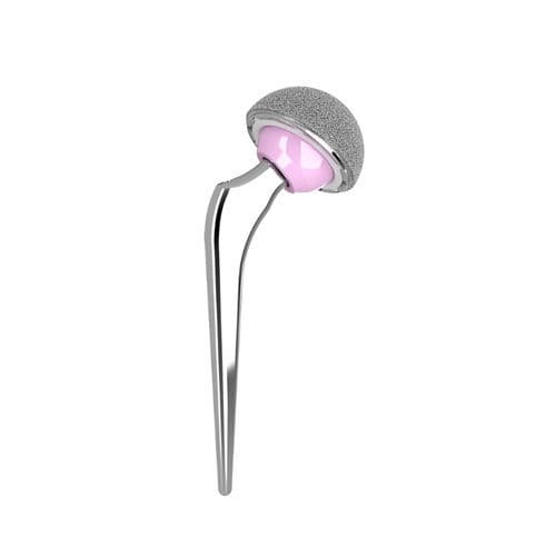 Protesi di anca di prima intenzione - C-STEM™ AMT - Depuy Synthes - di revisione / cementata