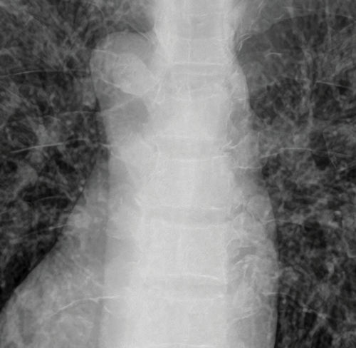 Piattaforma AI per diagnostica per immagini - DEPAI™ - DRTECH - di ottimizzazione delle immagini / diagnostica / basata sul web