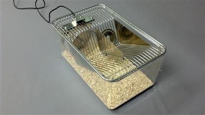 Gabbia veterinaria connessa - Columbus Instruments - per topi / modulare / con ruota di esercizio