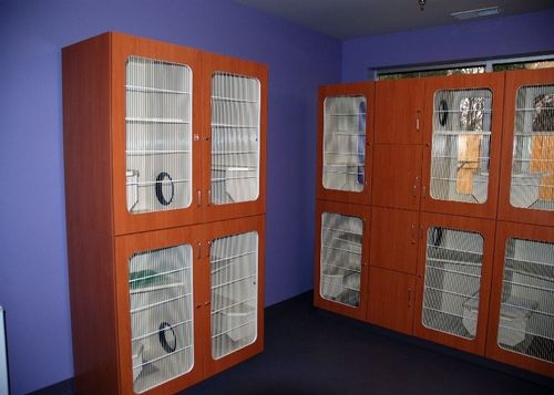 Gabbia veterinaria per gatti - Raintree™ - Mason - modulare