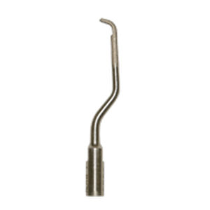 Inserto ad ultrasuoni veterinario - KLAW™ 1 - Inovadent - piezoelettrico / odontoiatrico / parodontale