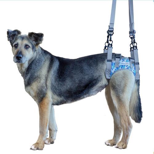 Imbracatura per deambulazione - Walkin’ Warrior Rear - Walkin' Pets - per gamba / per cani