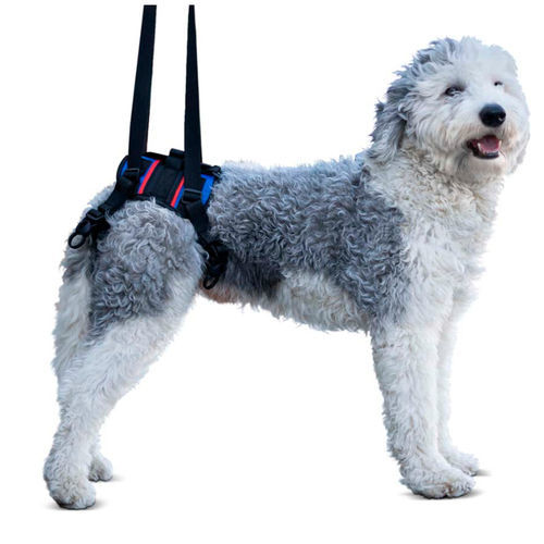 Imbracatura per deambulazione - Walkin’ Lift Combo - Walkin' Pets - per gamba / per cani