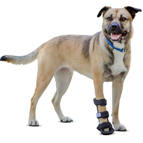Steccobenda veterinaria per zampe - Walkin’ Front - Walkin' Pets - per caviglia / per polso / canina