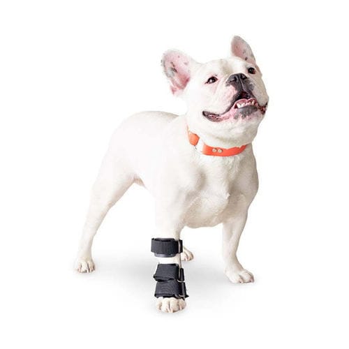Steccobenda veterinaria per zampe - Walkin' Pets - per tunnel carpale / per polso