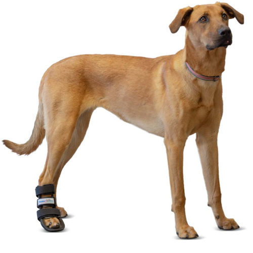 Steccobenda veterinaria per zampe - Walkin' Pets - per caviglia / per tagliatarso / per polso