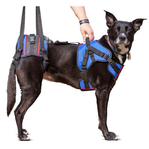 Imbracatura per sollevatore - Walkin’ Lift Combo - Walkin' Pets - per deambulazione / per gamba / per cani