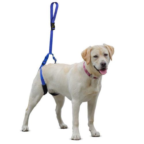 Imbracatura per deambulazione - Walkin’ Up-n-Go - Walkin' Pets - per gamba / per cani