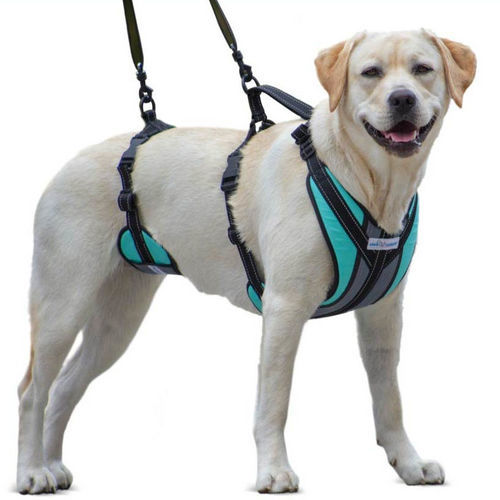 Imbracatura per deambulazione - Walkin’ Lift-n-Step - Walkin' Pets - per cani