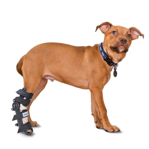 Steccobenda veterinaria per zampe - Walkin’ Fit - Walkin' Pets - per caviglia / per tagliatarso / per polso