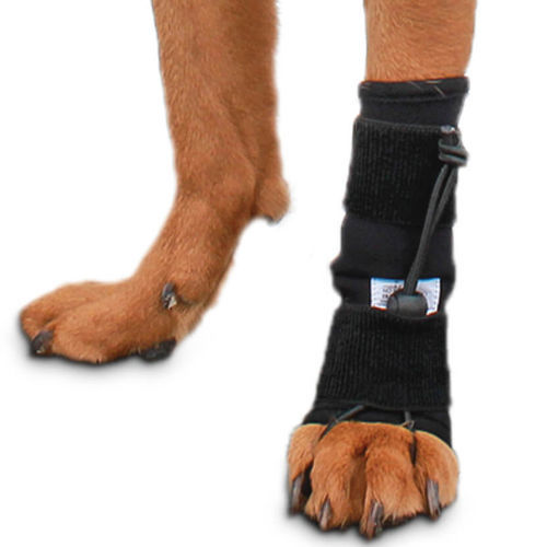 Steccobenda veterinaria per zampe - Front No-Knuckling - Walkin' Pets - per cani