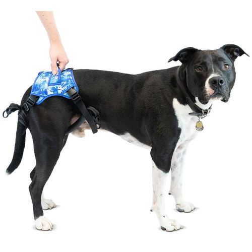 Imbracatura di riabilitazione - Buddy Up™ - Walkin' Pets - per gamba / per cani