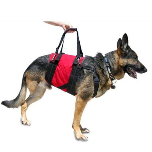 Imbracatura veterinaria - Walkin' Pets - per cani