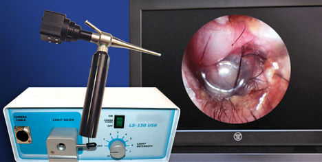 Otoscopio veterinario video - Otopet USA - con speculum