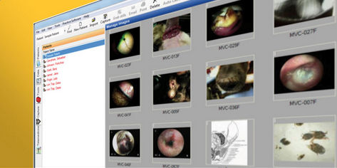 Software di visualizzazione - VetScope - Otopet USA - di acquisizione / di archiviazione / di condivisione