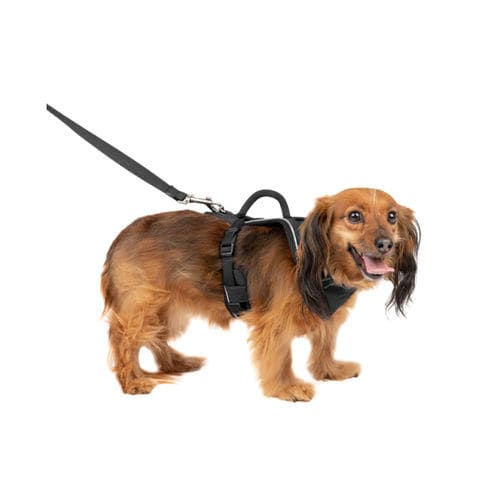 Imbracatura per deambulazione - EasySport™ - PetSafe - veterinaria / per cani