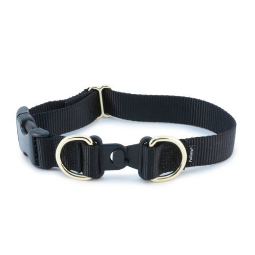 Collare veterinario per cani - KeepSafe® - PetSafe