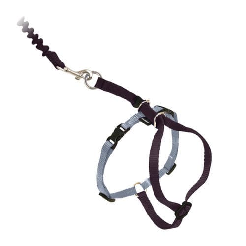 Imbracatura veterinaria - Come With Me Kitty™ - PetSafe