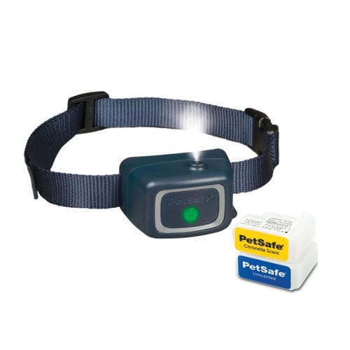 Collare veterinario per cani - PAC00-16736 - PetSafe - regolabile
