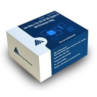 Reagente in soluzione - AB MagPure - Aurora Instruments - siero di maiale / per Rt-qPCR / per estrazione di RNA
