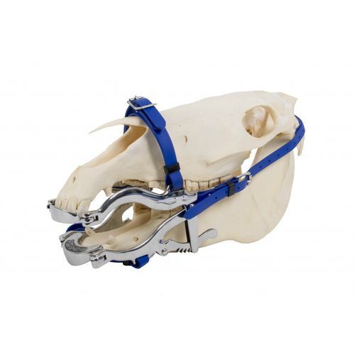 Speculum veterinario odontoiatrico - 4000 Serie    - Equus Dental - per equini