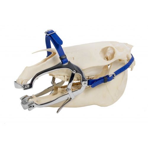 Speculum veterinario odontoiatrico - 2000 Serie - Equus Dental - per equini