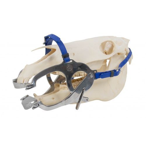 Speculum veterinario odontoiatrico - Premium   - Equus Dental - per equini
