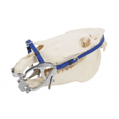 Speculum veterinario odontoiatrico - Premium pony  - Equus Dental - per equini
